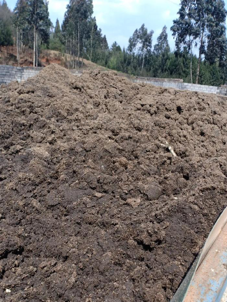 animal manure