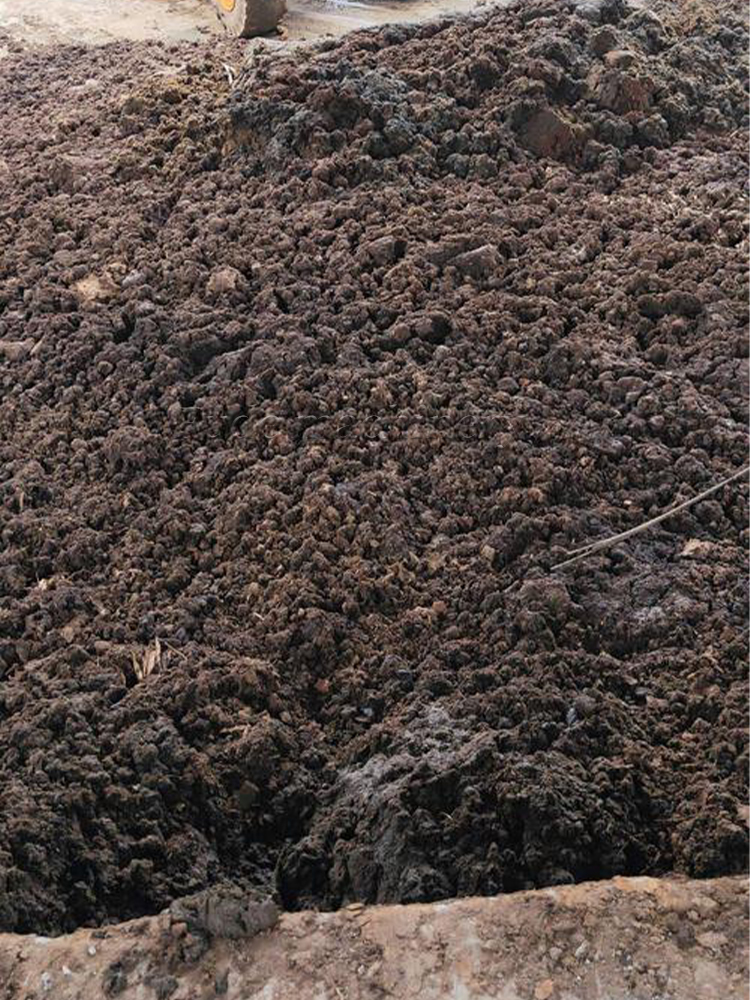 animal manure