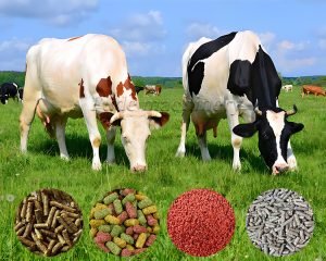 What Is Feed Pellet Machine?