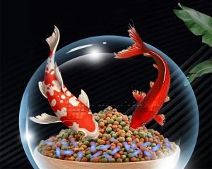 How to profit from your fish feed processing bu...