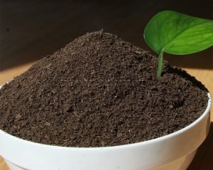 Can chicken manure fertilizer production open u...