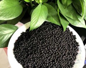 What Advantages Do Double Roller Extruders Offe...