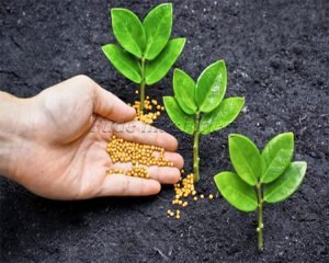 Can factory direct disc pelletizer save cost an...