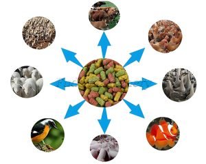 How to choose a home animal feed pellet mill?