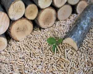 Biomass Pelletizer for Oak Wood Exported to Taiwan