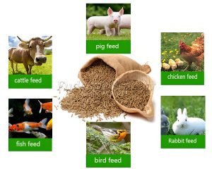livestock feed pellets processing technology