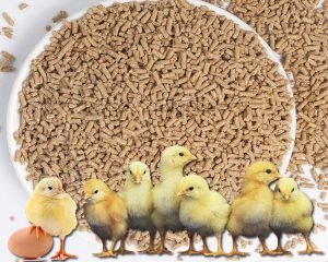 2-3 TPH Chicken Feed Pellet Mill Built in New Z...