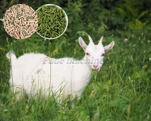Small Sheep/Goat Feed Pellet Making Machine