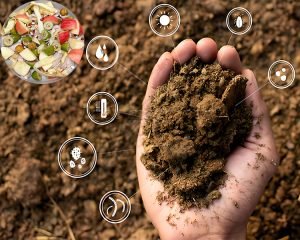 What Raw Materials Are Suitable for Pomace Fert...