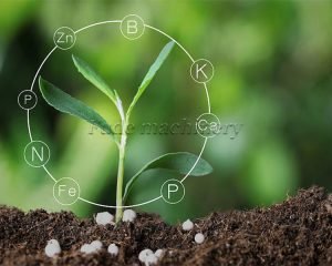 How Will You Get Successful Within the Organic ...