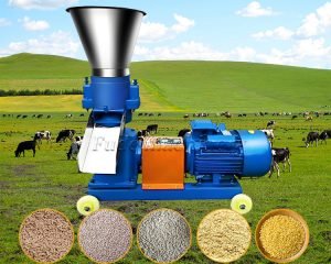 How to Make Your Own Chicken Feed in South Africa?