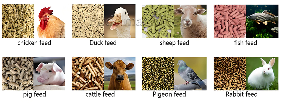 small animal feed pellet machine