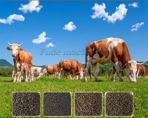 Successful order for cattle manure pelletizing ...