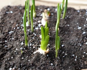 High efficiency wood crusher as a key equipment...