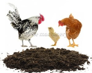 How to Make Chicken Manure Biofertilizer by Dis...