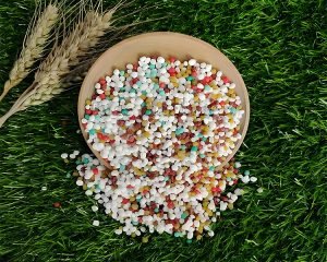 How to Choose the Right Organic Fertilizer Gran...