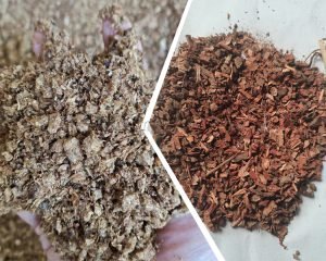 How to Granulate Mushroom and Medicine Dregs Su...
