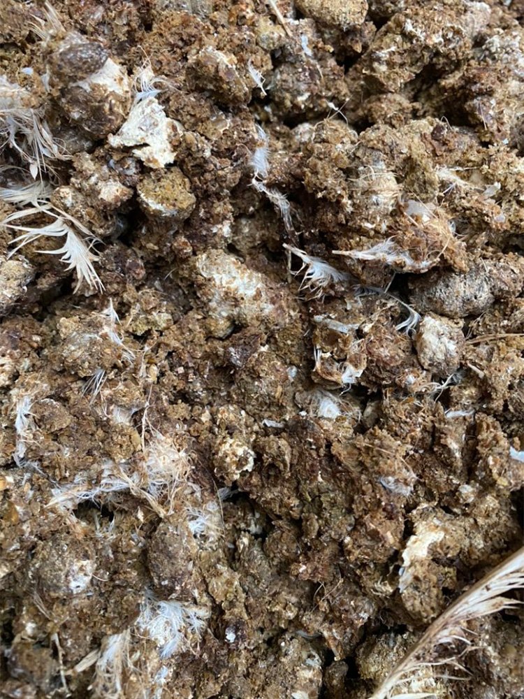 Why Our New Type Granulator is a Game-Changer for Wet Compost?（images 7）