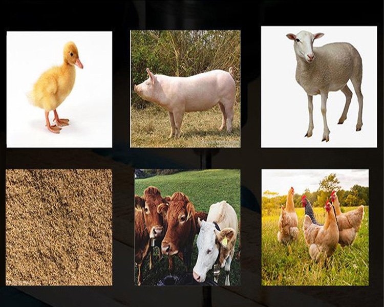 How Do You Turn Animal Waste into a Profitable Fertilizer Business?