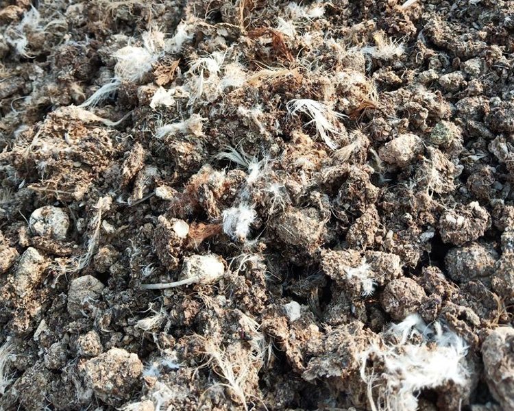 Why Our New Type Granulator is a Game-Changer for Wet Compost?（images 1）