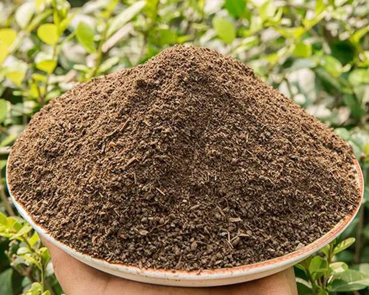 Why is a fertilizer dryer essential for your factory?（images 3）